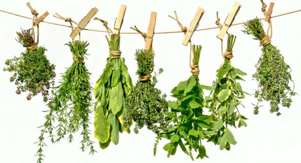 Foods-Highest-in-Magnesium-Dried-Herbs.jpg